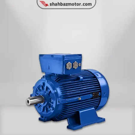 دینام صنعتی یا الکتروموتور مارلی marelli ایتالیا - سه فاز IE2 - جنس بدنه آلومینیوم و چدن